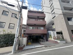 グレース静