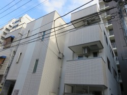 エクルベージュ入増
