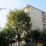 宮前平アベリア2号棟