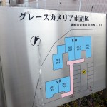 グレースカメリア市が尾