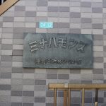 ミナハモンズ