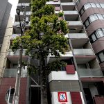藤和シティホームズ西麻布