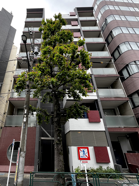 藤和シティホームズ西麻布