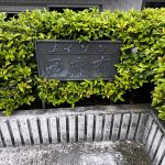 メイゾン西麻布