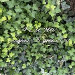 GENOVIA駒込駅green veil(ジェノヴィア駒込駅グリーンヴェール)