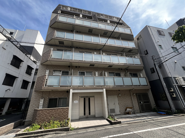 アルテシモステラ
