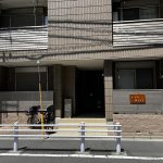 フォレストパイン