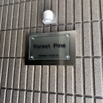 フォレストパイン