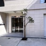 サクラスプリング高輪